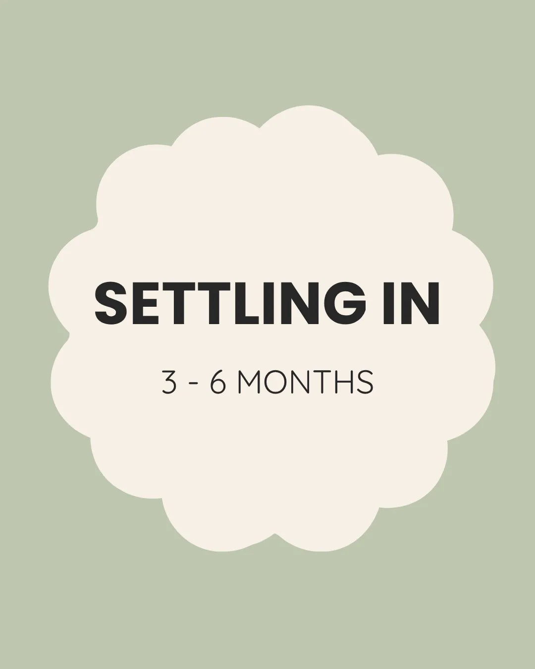 Settling In (3 to 6 Months)