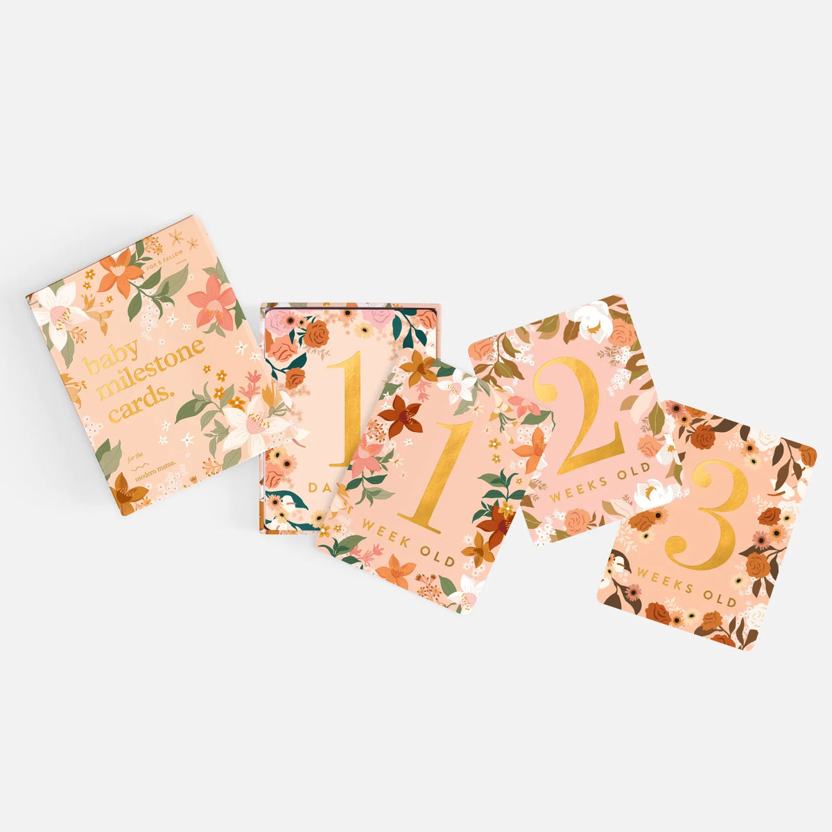 Fox and Fallow Floral baby milestone card set