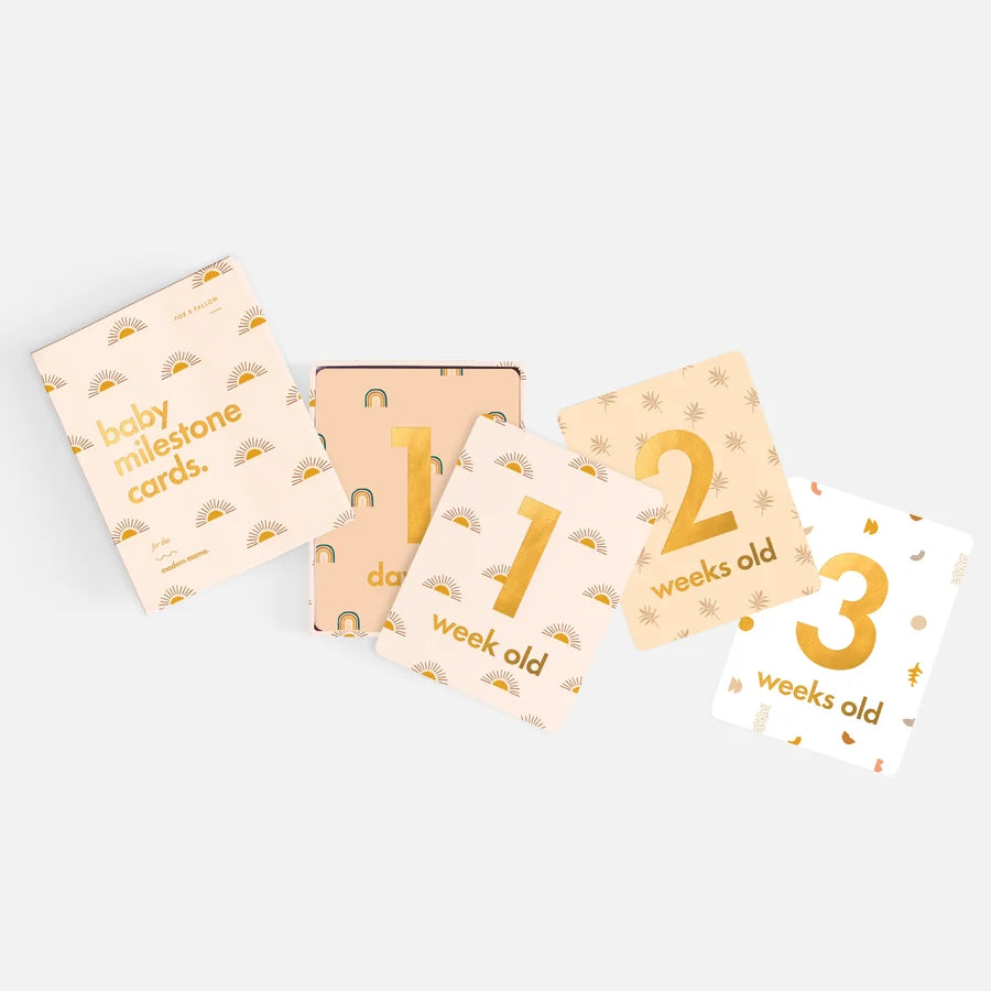 Fox and Fallow Boho baby milestone card set